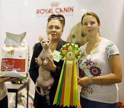 �������� ����� '���-�����-��������' 20-21 �������� 4-233-169A2509 copy.jpg